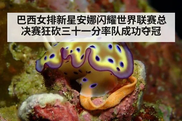 巴西女排新星安娜闪耀世界联赛总决赛狂砍三十一分率队成功夺冠