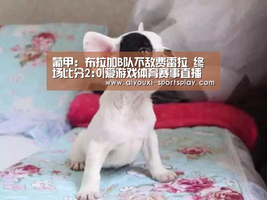 爱游戏篮球竞猜